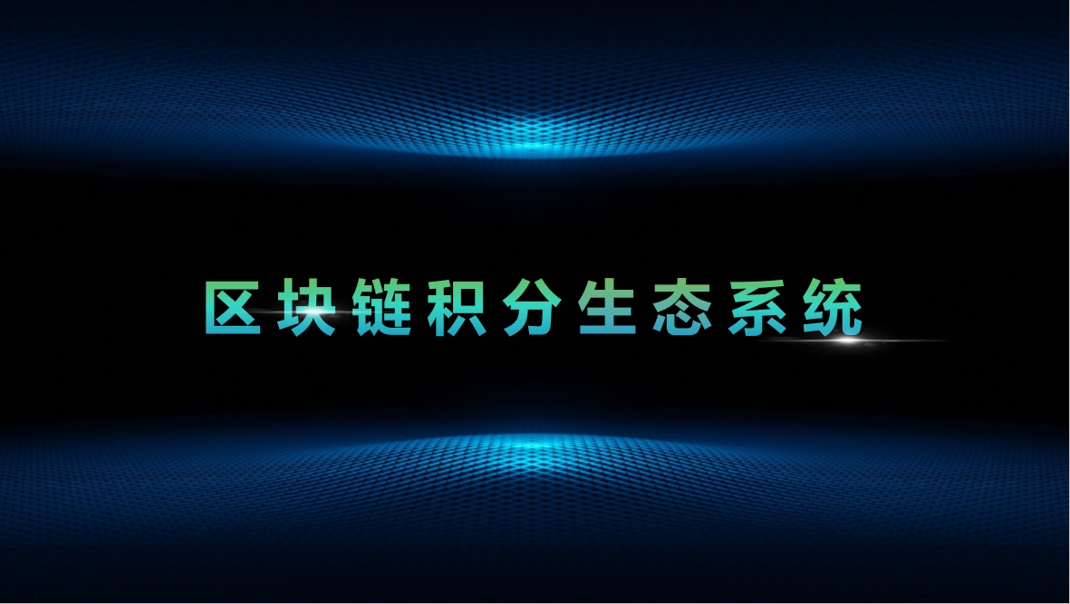 数字经济下的支付风控新策略：区块链积分系统